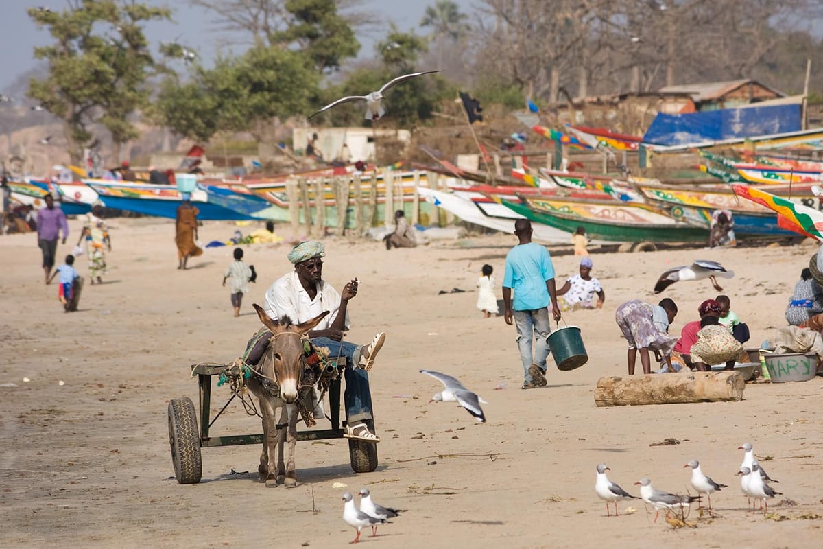 Gambia, che cos’è successo nel più piccolo paese dell’Africa in questi giorni?