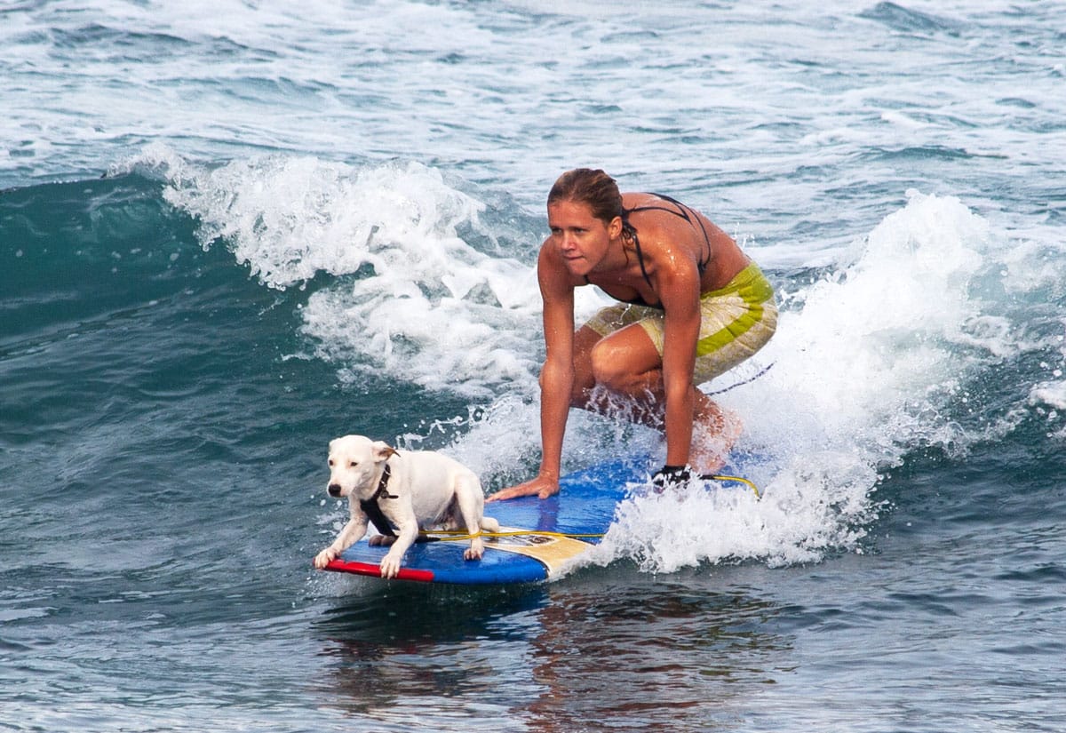 Eco Surfisti contro le forze del male