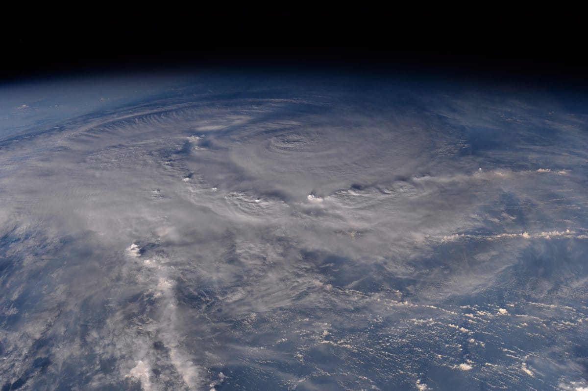 Hello, World! La cometa di Harvey