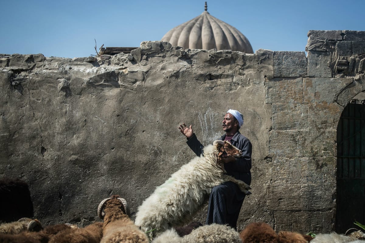 Chi sono i vegani musulmani convinti che l’industria della carne sia contraria all’Islam