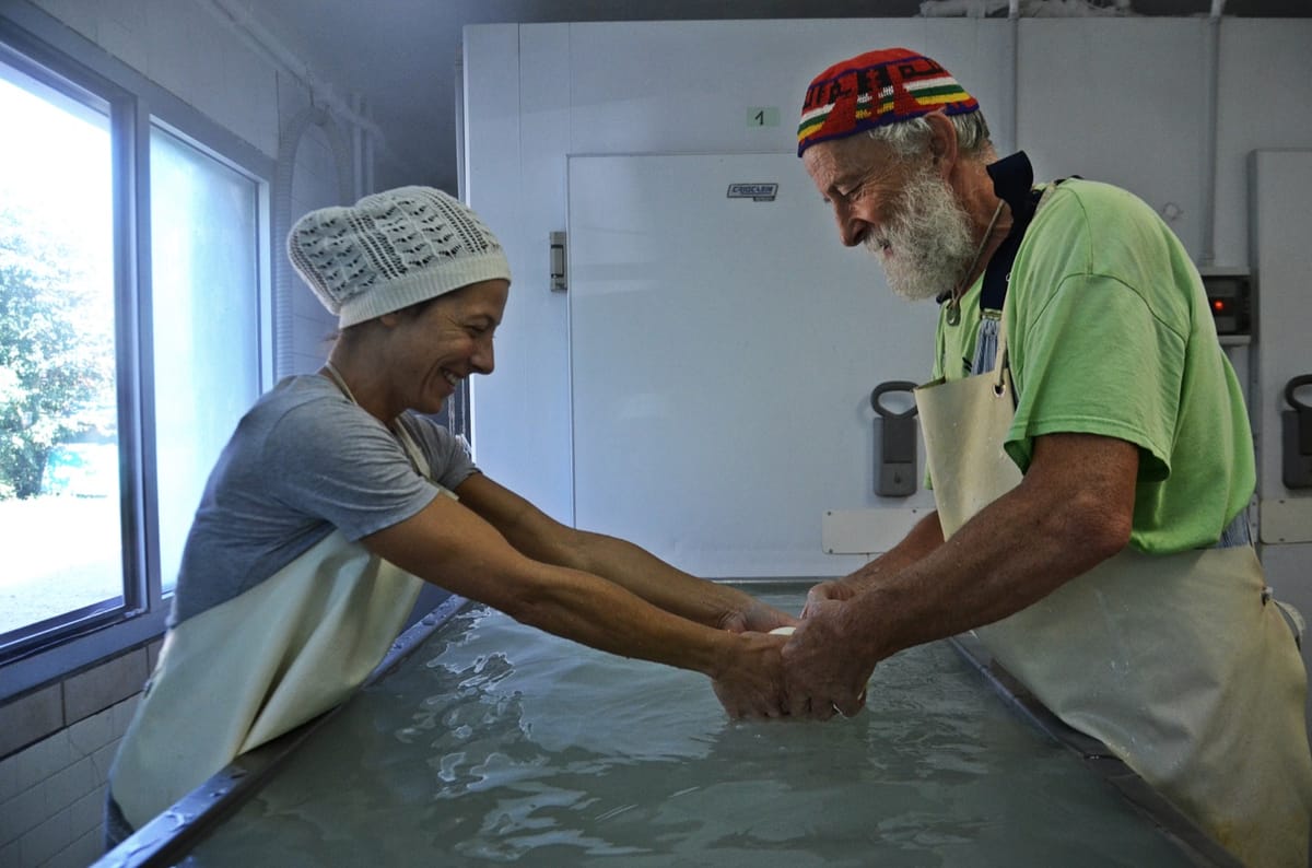 Come si fa il formaggio biologico in una cascina a due passi dal Po