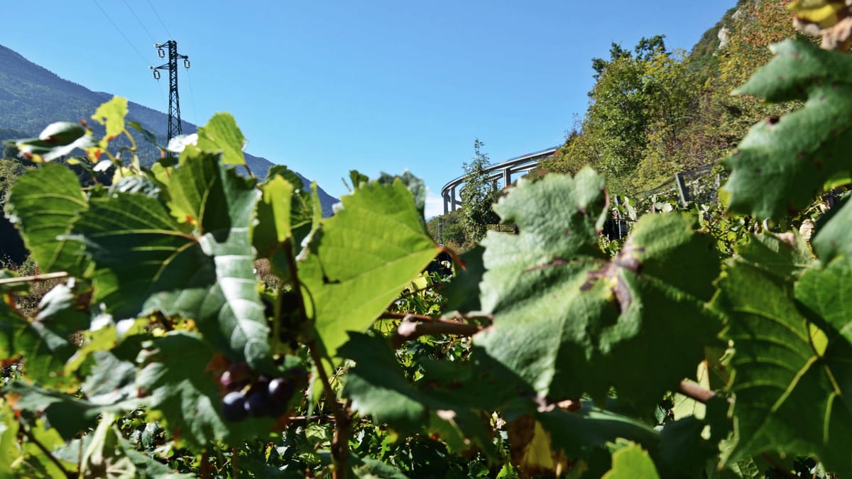 Com’è fare il vino nel cantiere della TAV