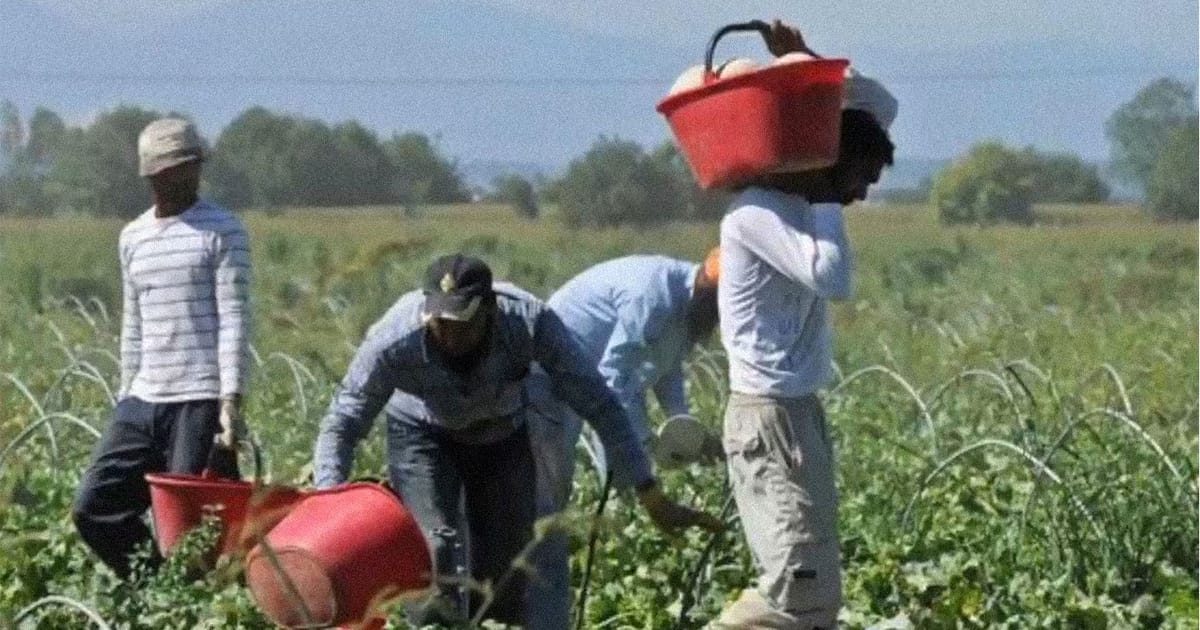 Lo sciopero è l’ultima arma rimasta ai braccianti delle campagne