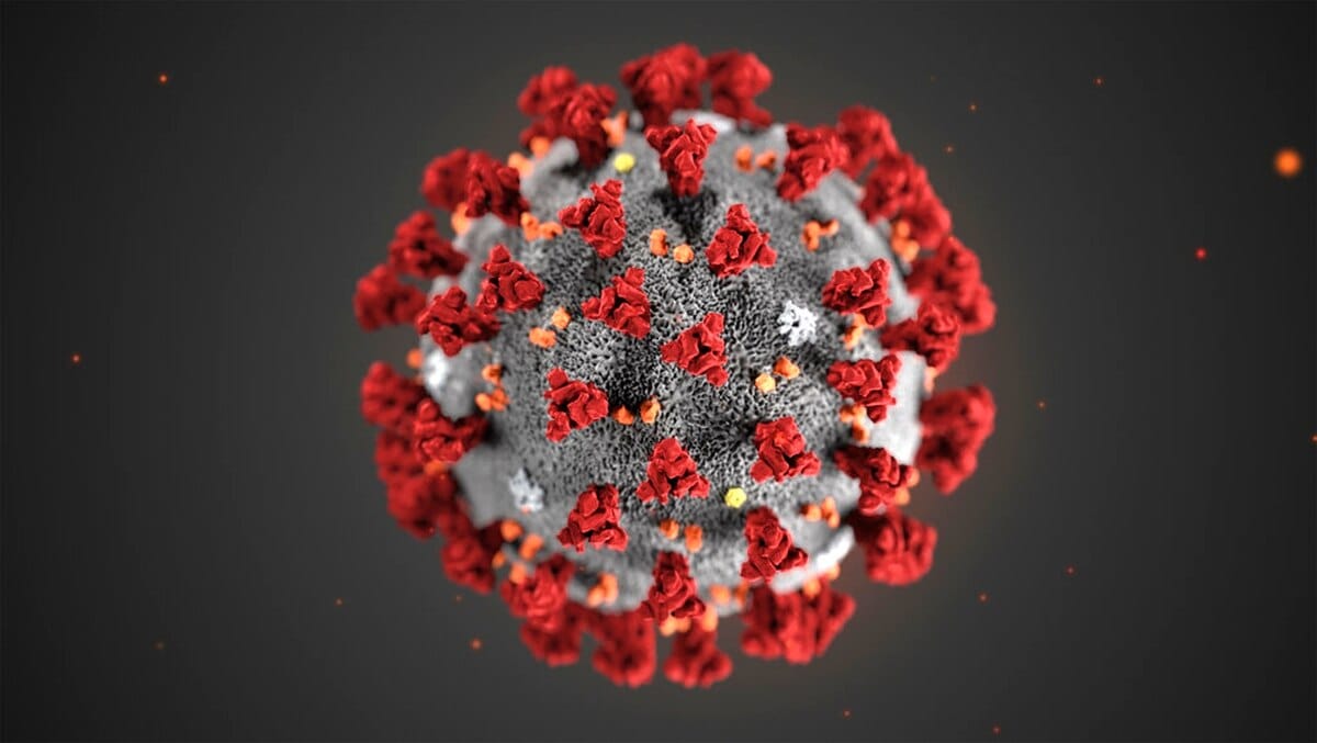 Come è stata disegnata la prima illustrazione del coronavirus?