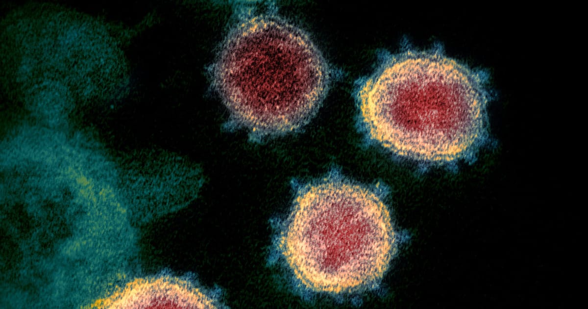 Cosa sappiamo della nuova variante del coronavirus