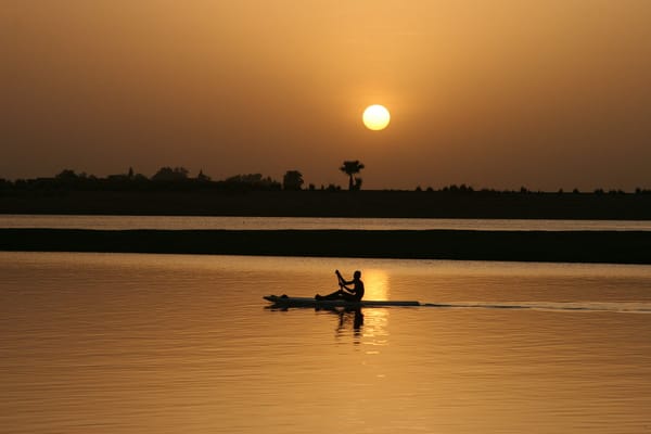 Niger Delta Avengers