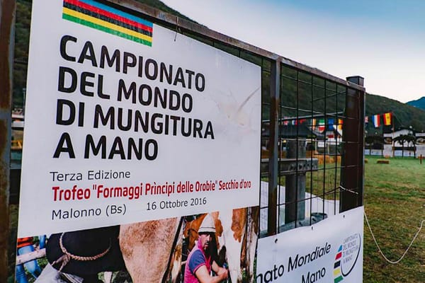 Siamo stati al Campionato del mondo di mungitura a mano