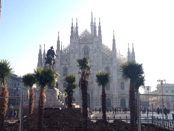 5 cose da piantare in piazza Duomo al posto delle palme per far contenta la destra