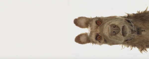 Cosa sappiamo di Isle of Dogs, l’ultimo film di Wes Anderson