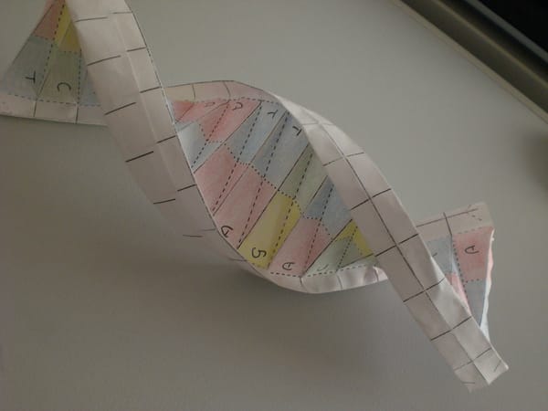 Il genome editing potrebbe rivoluzionare la medicina come la conosciamo