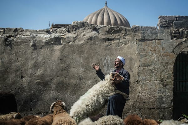 Chi sono i vegani musulmani convinti che l’industria della carne sia contraria all’Islam