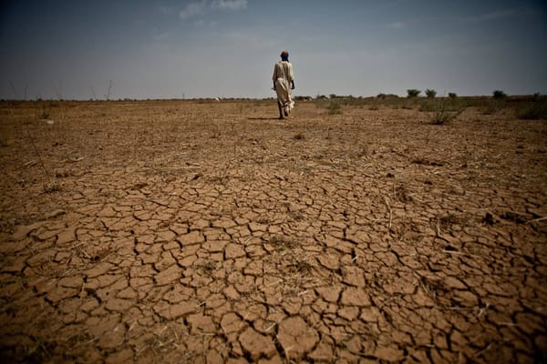 Tutti i migranti dell’Africa subsahariana sono rifugiati climatici