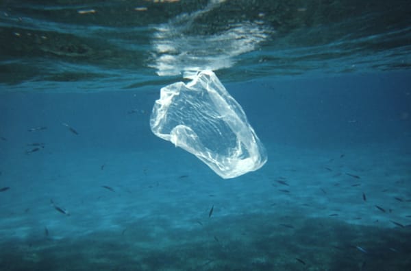 Il Mar Rosso è una speranza per la lotta alla plastica negli oceani