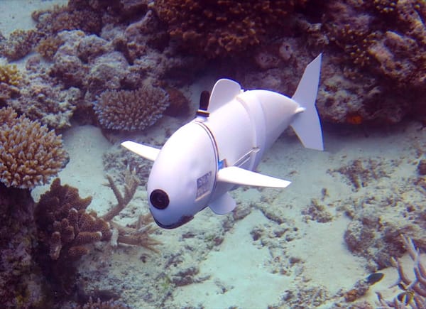 SoFi, il pesce robot che aiuterà gli scienziati a studiare gli oceani