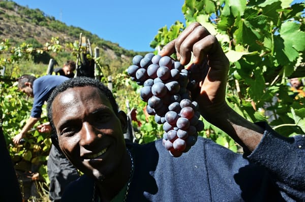 Siamo stati nel cantiere TAV di Chiomonte durante la vendemmia