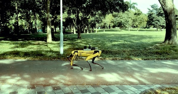 Guarda quanto fa paura questo cane robot che controlla il distanziamento sociale