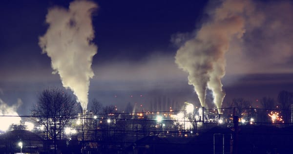 Nonostante la pandemia, il sovrasfruttamento della Terra è tornato a pieno regime