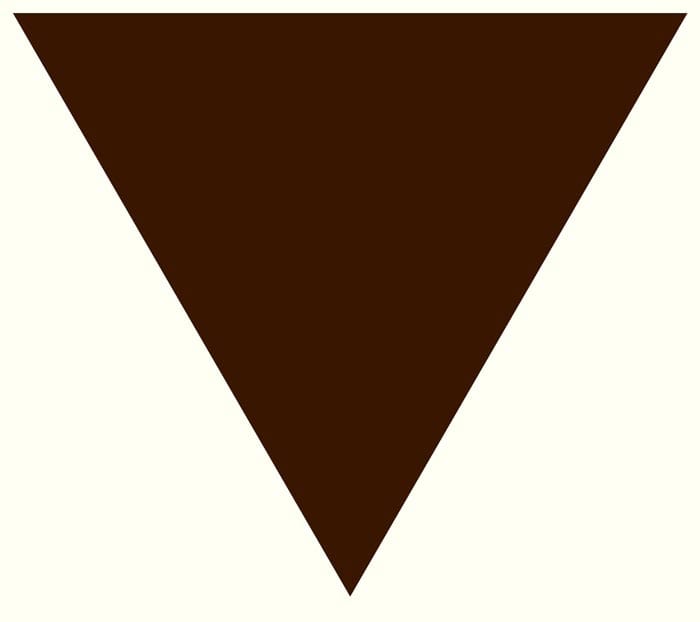 brown_triangle_svg-1