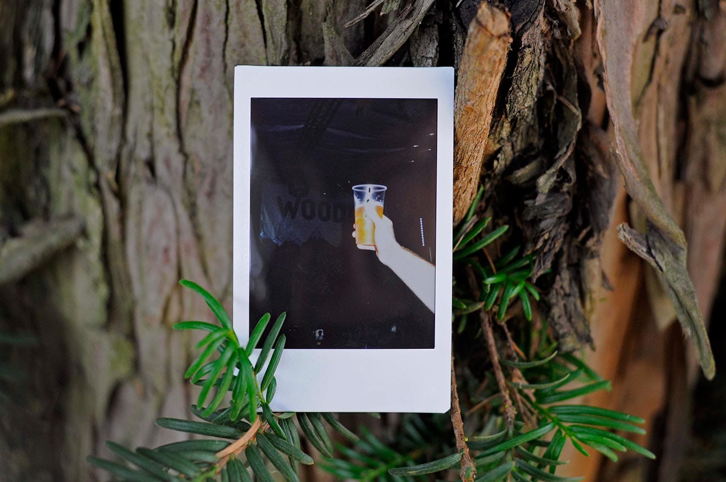 woodooinstax2