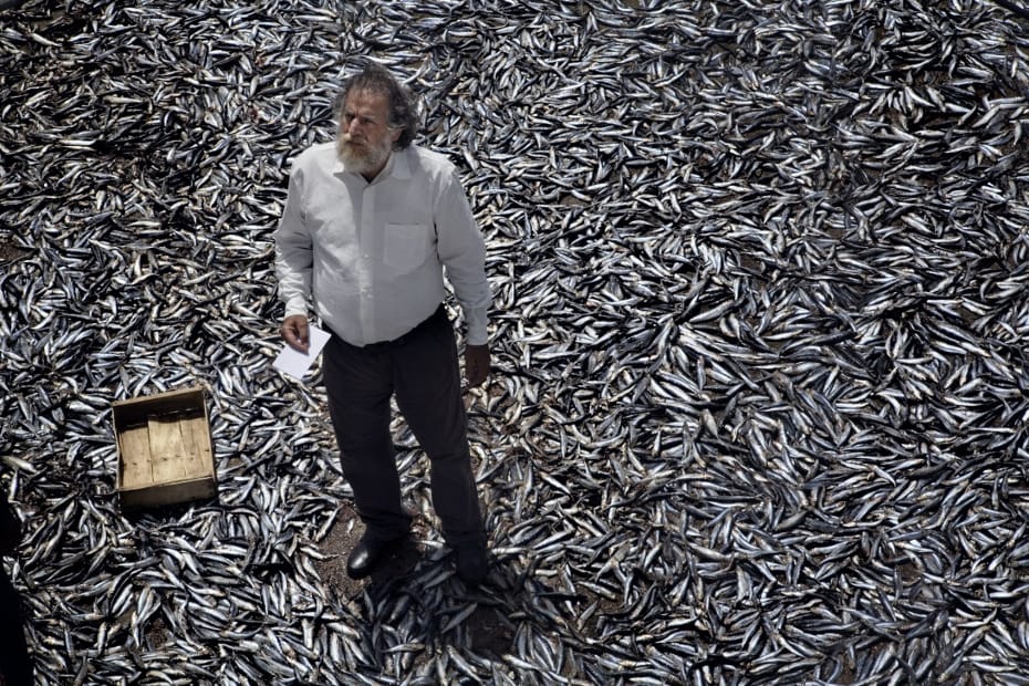 Fotogramma tratto da "Terraferma" (2011)