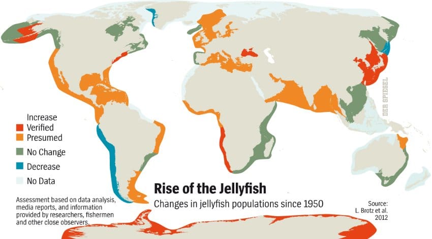 jellification