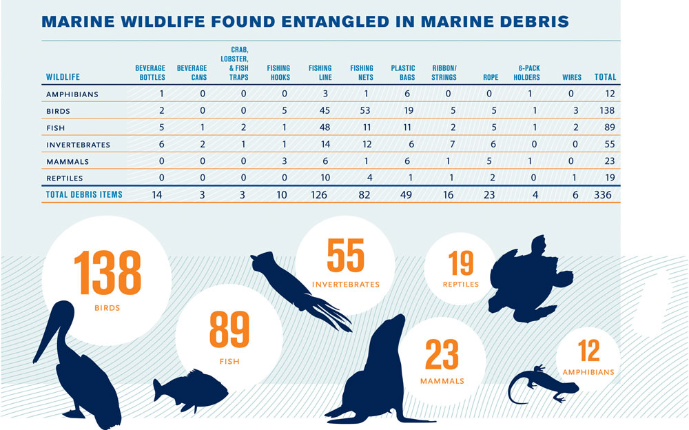 Tabella riportante alcuni animali marini trovati intrappolati in rifiuti marini, durante una campagna di Pulizia Internazionale delle Coste del settembre 2009