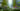 3027823-inline-i-1-urban-jungle-street-view-adds-a-dose-of-wilderness-to-any-address